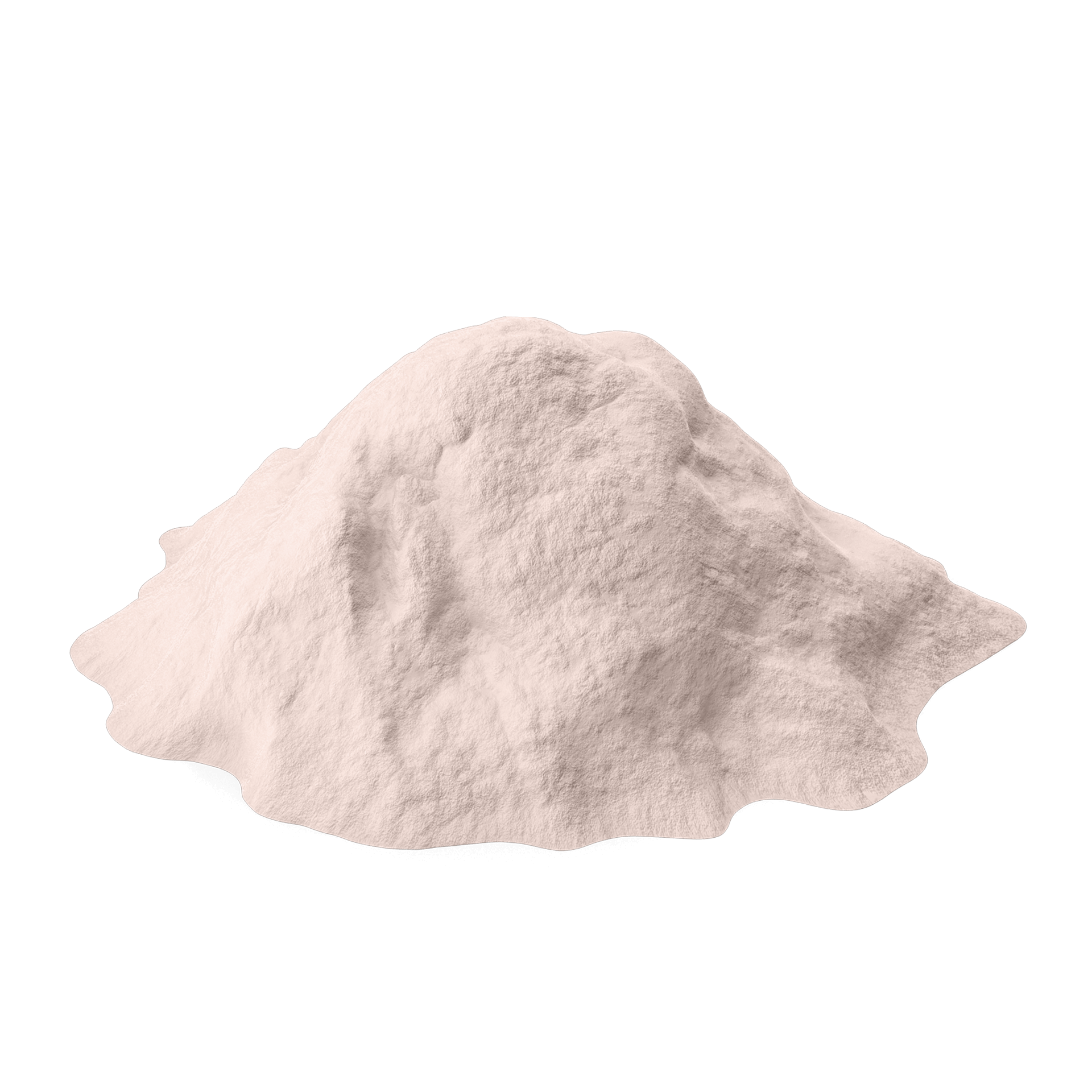 Onion Powder